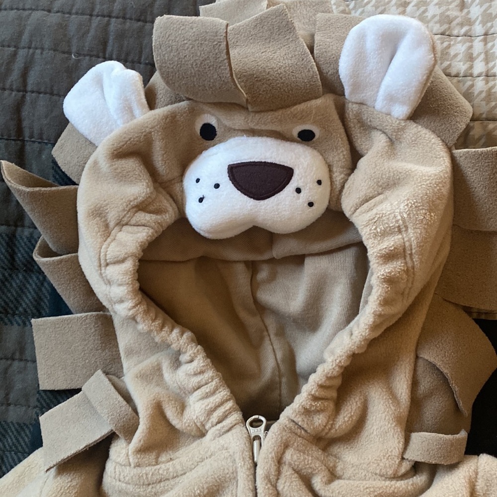 Lion costume - Picture 2 of 7